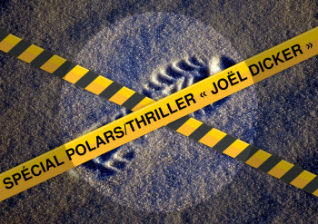 Comité de lecture : Spécial polars/thriller « Joël Dicker »