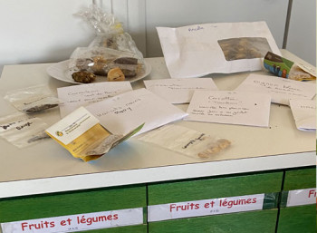 Troc graines et troc plantes