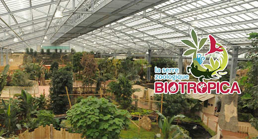 Biotropica