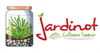 Samedi famille - Atelier terrarium